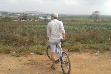 Tafi Atome Monkey Sanctuary Trail