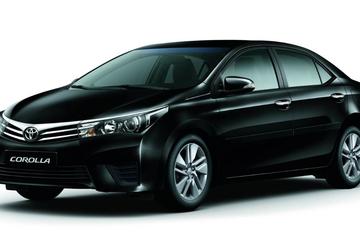 Private Arrival Transfer from Salvador Airport to Hotel by Car