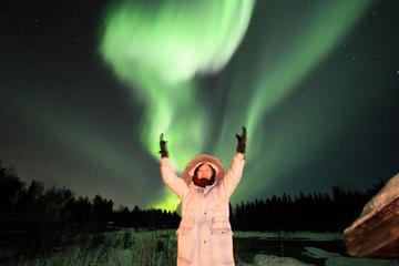 Private 4WD-Vehicle Northern Lights 4-hour Hunting