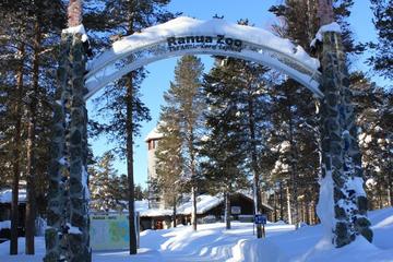 Ranua Zoo Trip from Rovaniemi