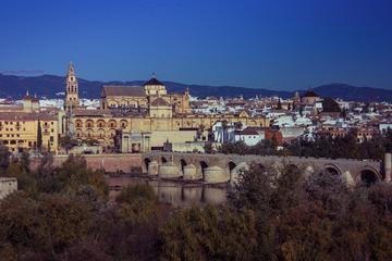 Córdoba Rooftop Experience from Seville
