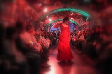 Granada Sacramonte Caves Flamenco Show with Albayzin Walking Tour