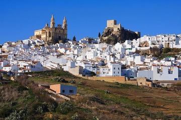White Villages: Private Guided Day Trip from Seville
