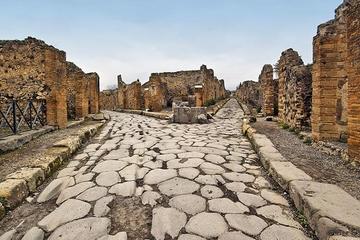 Half-Day Pompeii Tour from Sorrento