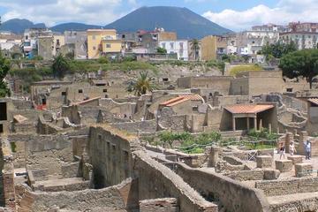 Half-Day Trip to Herculaneum from Amalfi, Maiori, or Ravello