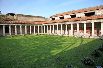 Half-Day Trip to Oplontis from Amalfi, Maiori or Ravello