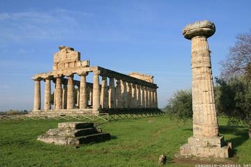 Half-Day Trip to Paestum from Amalfi, Maiori or Ravello