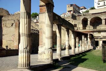 Herculaneum Day Trip with Hotel Pickup from Sorrento