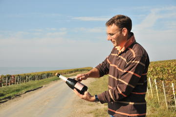 3-Hour Champagne Region Vineyard Visit from Reims with Wine Tasting and Picnic