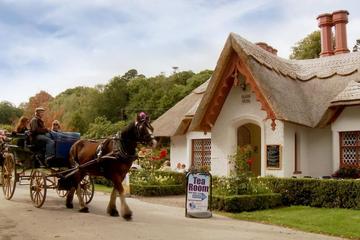 Jaunting Car Tour to Ross Castle from Killarney