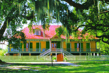 Laura Plantation Tour With Private Transportation
