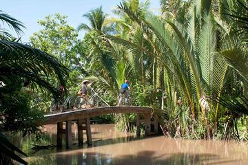 2-Day Private Tour to Mekong Delta Homestay in Vinh Long from Ho Chi Minh City