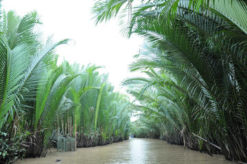 Private Tour: Rural Mekong Delta from Ho Chi Minh City