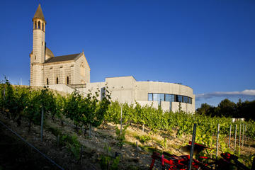 Electric Bike Tour and Wine Tasting from Nice