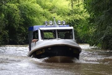Private Half-Day Boat Tour to Tigre Delta