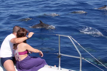 Madeira Highlights by Jeep with Cabo Girão and Dolphin Watching from Funchal