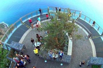 Private Madeira Half-Day Jeep Tour: East or West