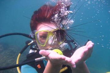 Discover Scuba Diver