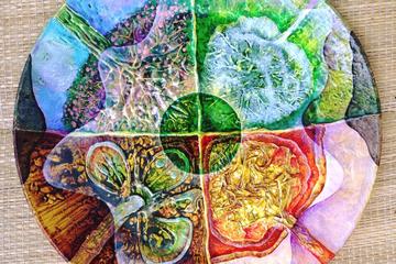 Magic Trees - Glass Painting Creative Art Workshop