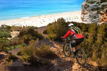 Excursão de bicicleta no Parque...