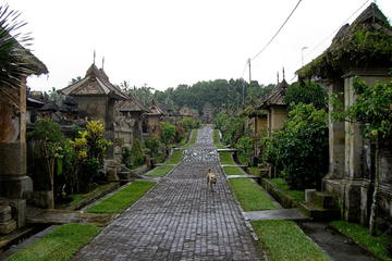 Private Tour - Penglipuran Traditional Village and Bali Temples with lunch