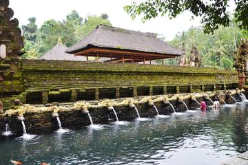 Private Ubud Tour: Batubulan Village, Tirta Empul Temple, Monkey Forest with Lunch