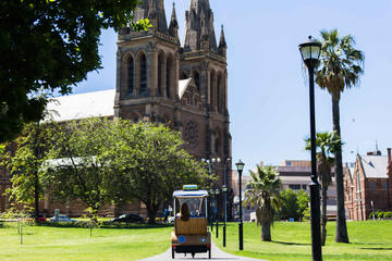 Adelaide 90-Minute Pedicab Tour: City Sights Experience