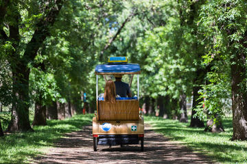 Adelaide 90-Minute Pedicab Tour: Scenic Green & River Experience