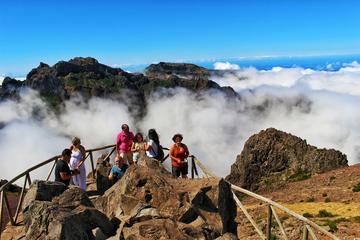 Madeira Peaks - Open 4X4 Full-Day Tour