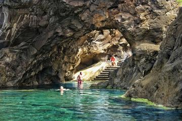 Porto Moniz - Enchanted Terraces: Open 4x4 Tour