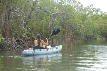 Day Trip Kayaking Eco Tour in Fort Myers near Fort Myers Beach, Florida 