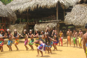 Day Trip to the Embera Drua Village