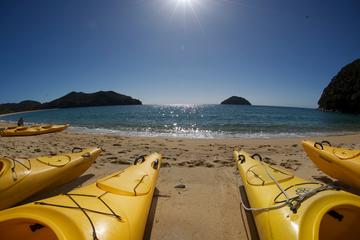 Full-Day Abel Tasman Kayak and Walk