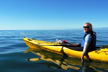 Full-Day Astrolabe Kayaking Eco-Tour