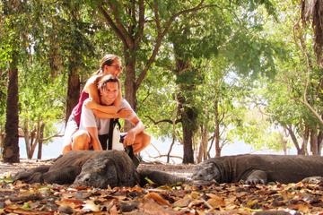 3-day Komodo National Park tour from Labuhanbajo