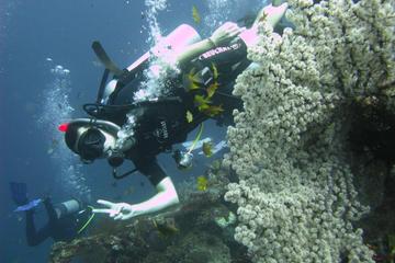 2-Day PADI Advanced Open Water Dive Course in Bali