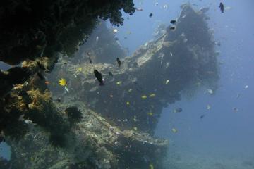 2 PADI Certified Dives at Tulamben from Bali