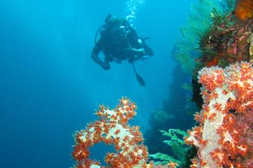 3-Day PADI Open Water Scuba Diving Certification Course in Bali