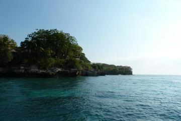 Scuba Diving in Nusa Penida Island and Manta Point
