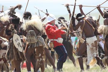 Full-Day Small-Group Anglo-Zulu Battlefields Tour from Durban