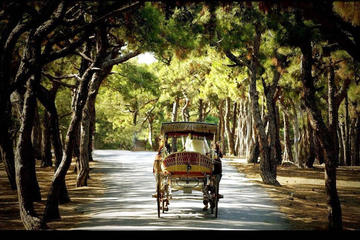 Istanbul Princes’ Islands Boat Trip with Lunch and Horse-Drawn Carriage Ride