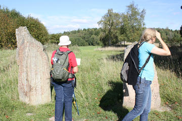 Private Half Day Tour: Viking History Trip from Stockholm Including Sigtuna