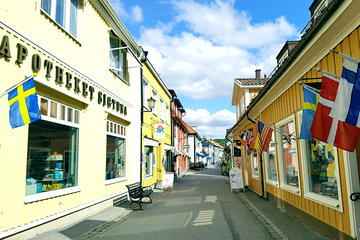 Sigtuna Tour from Stockholm - Roots of Sweden