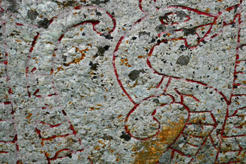 Viking History Small-Group Trip from Stockholm including Sigtuna and Uppsala: Full Day