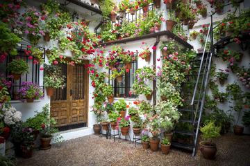 Andalucia & Mediterranean Coast, 9 days from Lisbon