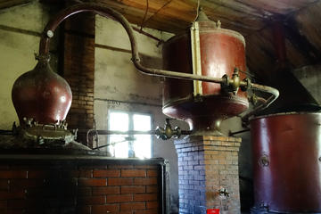 Private Bordeaux Wine and Cognac Distillery Tour with Wine Workshop from Cognac