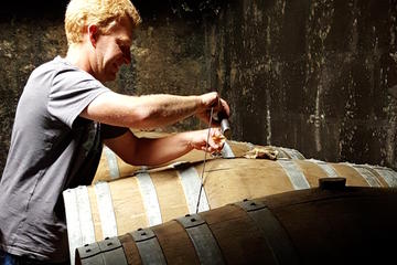 Private Tour of Craft Distilleries and Cognac Vineyards with Tasting from Cognac
