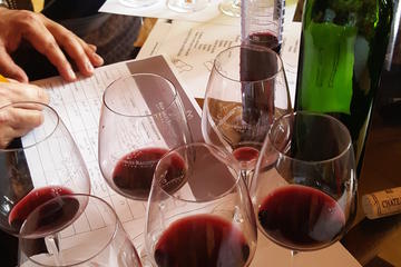 Private Tour to Bordeaux Winery and Cognac Distillery with Wine Workshop from Bordeaux