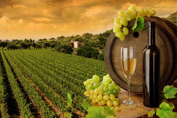 Ultimate Wine Country and Niagara Falls