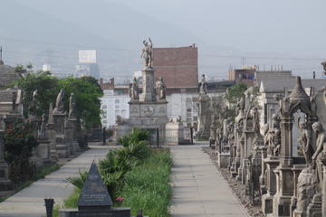 Presbitero Maestro Cemetery Tour in Lima